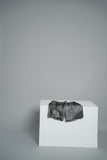 Youth Scars Collection Mesh Shorts